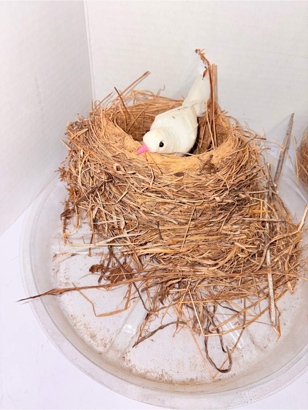 Nests - Picture 2 of 6
